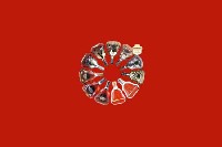昭化区回收红酒